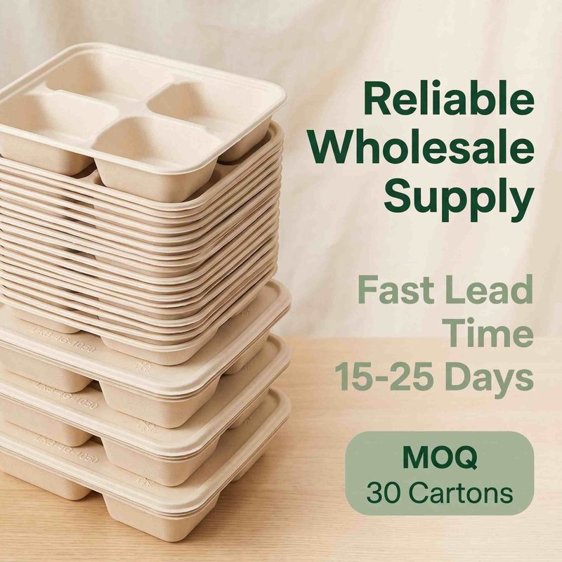 Four-Compartment Biodegradable Bagasse Meal Tray 220×190mm – Inflight & Catering - image 6 Four-Compartment Biodegradable Bagasse Meal Tray 220×190mm – Inflight & Catering - image 6